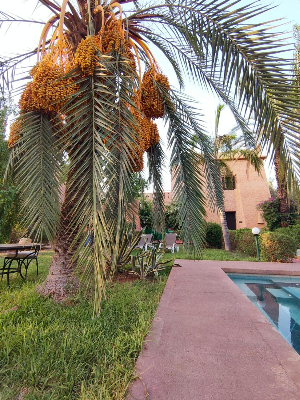 Riad Sheherazade Marrakech Marrakesh Buitenkant foto