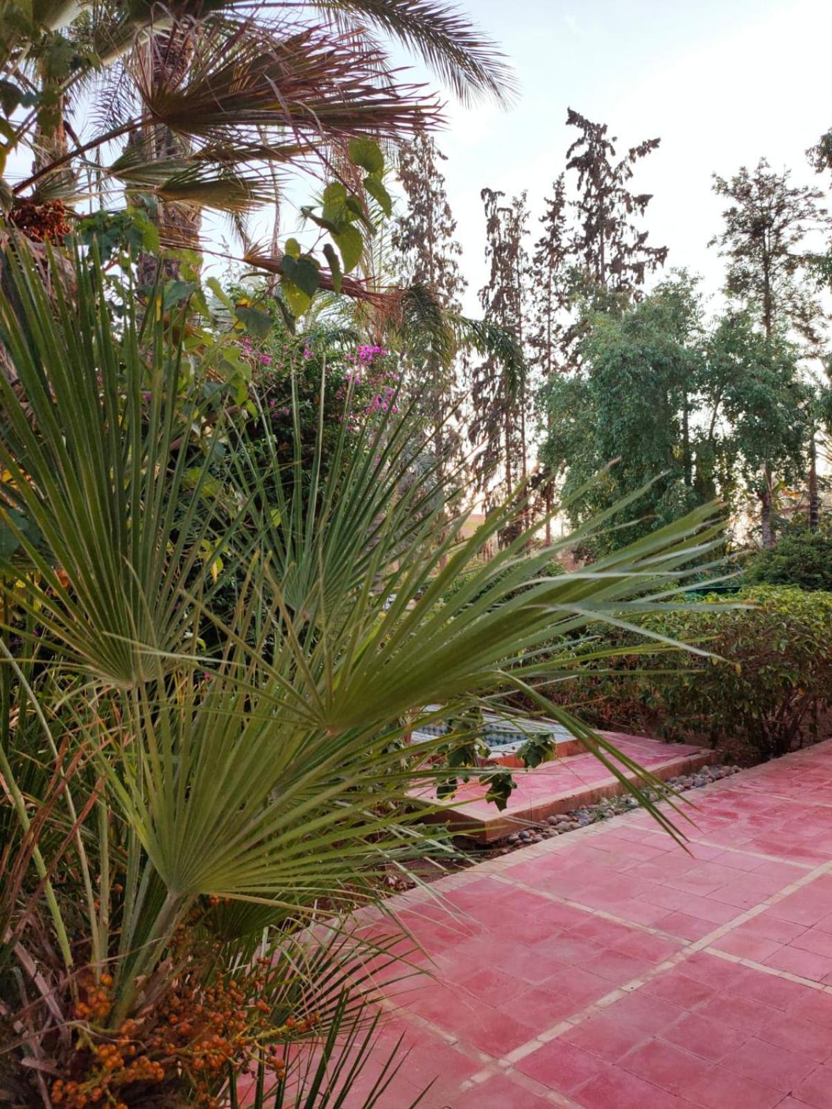 Riad Sheherazade Marrakech Marrakesh Buitenkant foto